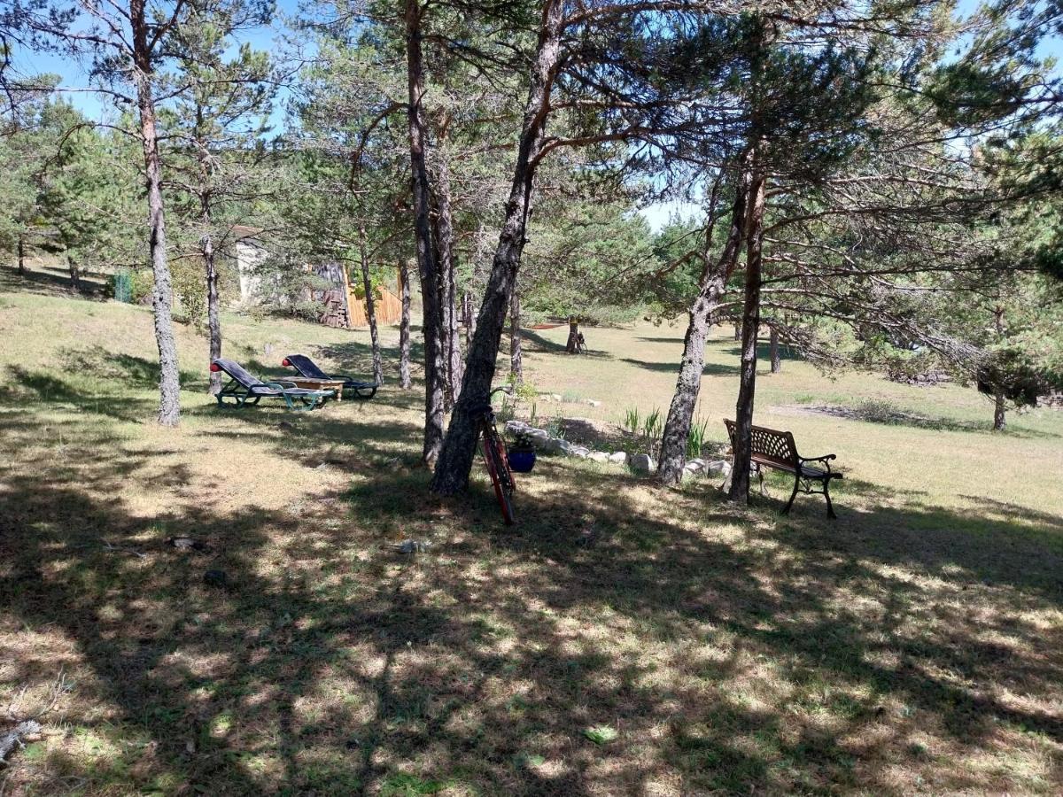 Petit Studio Dans La Prairie Saint-Auban  외부 사진